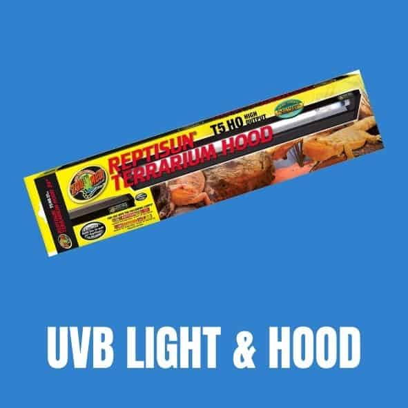 uvb light for russian tortoise