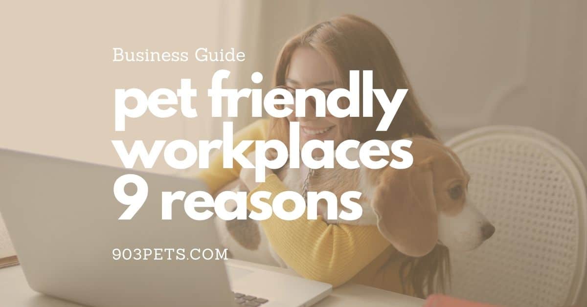 Allow Pets in the Workplace: 9 Policy Benefits For Businesses 1 pet friendly workplaces - 9 reasons to allow pets in your business