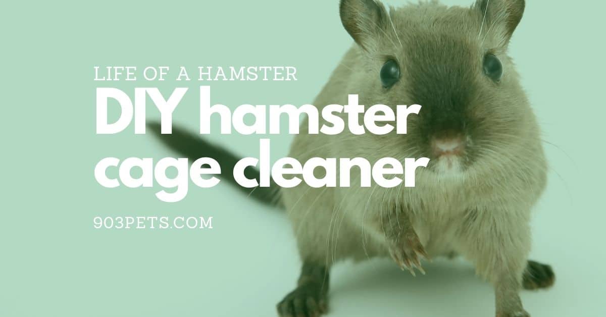 Home DIY Hamster Cage Cleaner