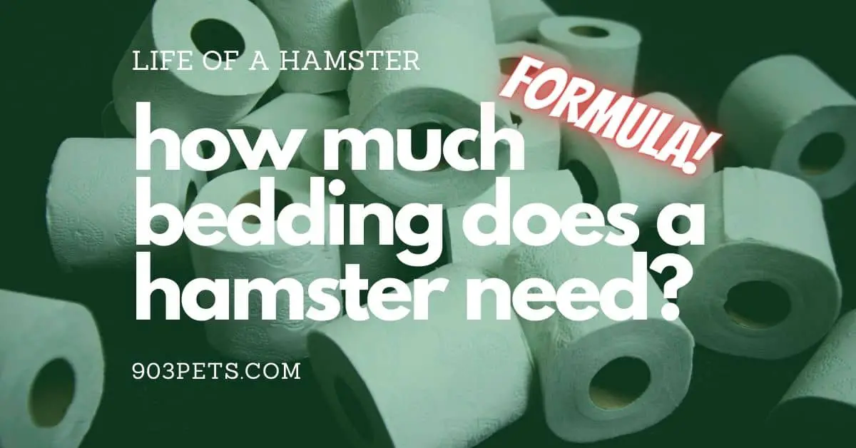 How much bedding does a hamster need - formula and types of bedding