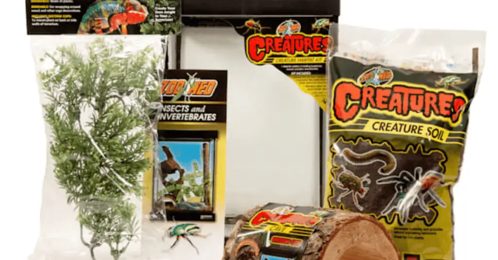 Ultimate Beginner's Guide to Praying Mantis Pet Care 4