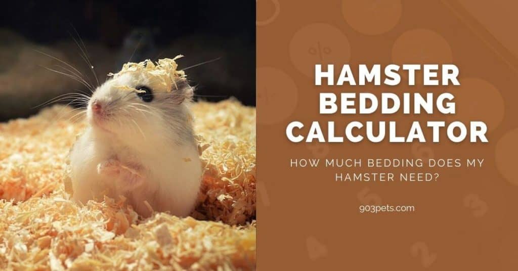 Pet Calculators 1