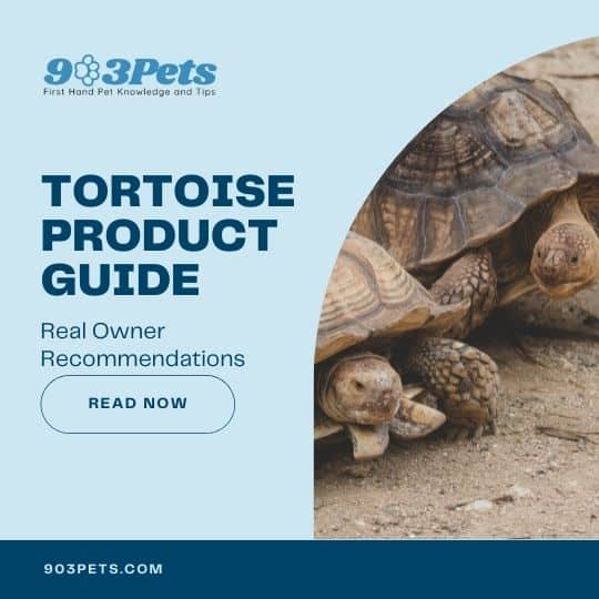 Tortoise Products Guide - Real Recommendations By Tortoise Parents