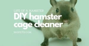 Home DIY Hamster Cage Cleaner