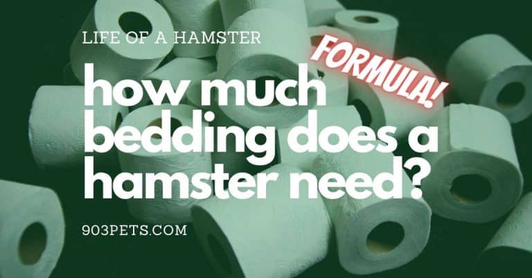 How Much Bedding Do Hamsters Need: Calculating and Buying