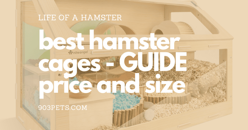 Small Pet Learning Library 13