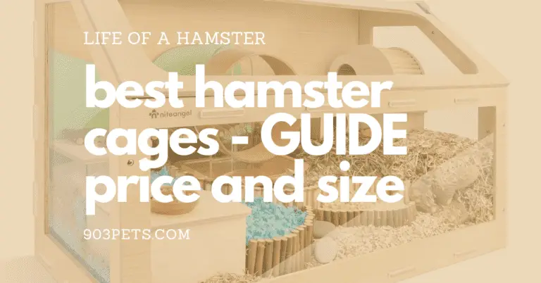 Best Humane Hamster Cages You Can Buy [2022 Guide + Price/Sq. In.]