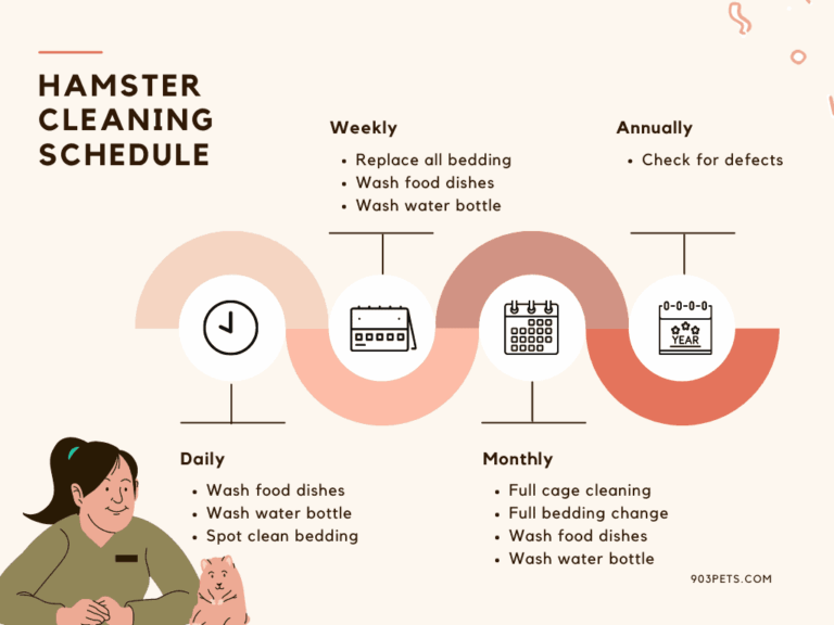 Hamster Cage Cleaning Schedule Monthly preview