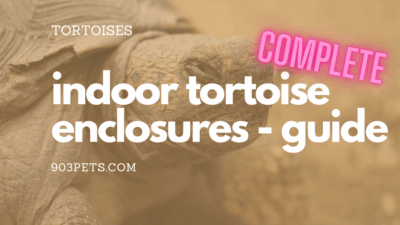 complete guide to indoor tortoise enclosures cages and habitats