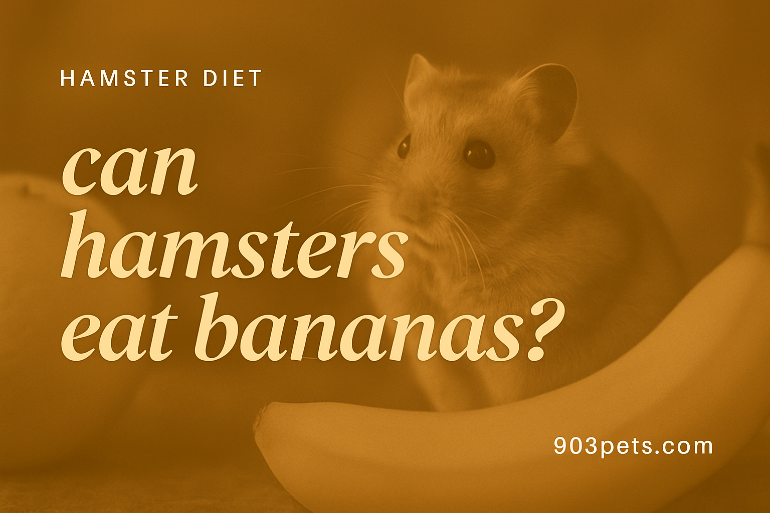 Can hamsters eat bananas - safe fruit list featured image