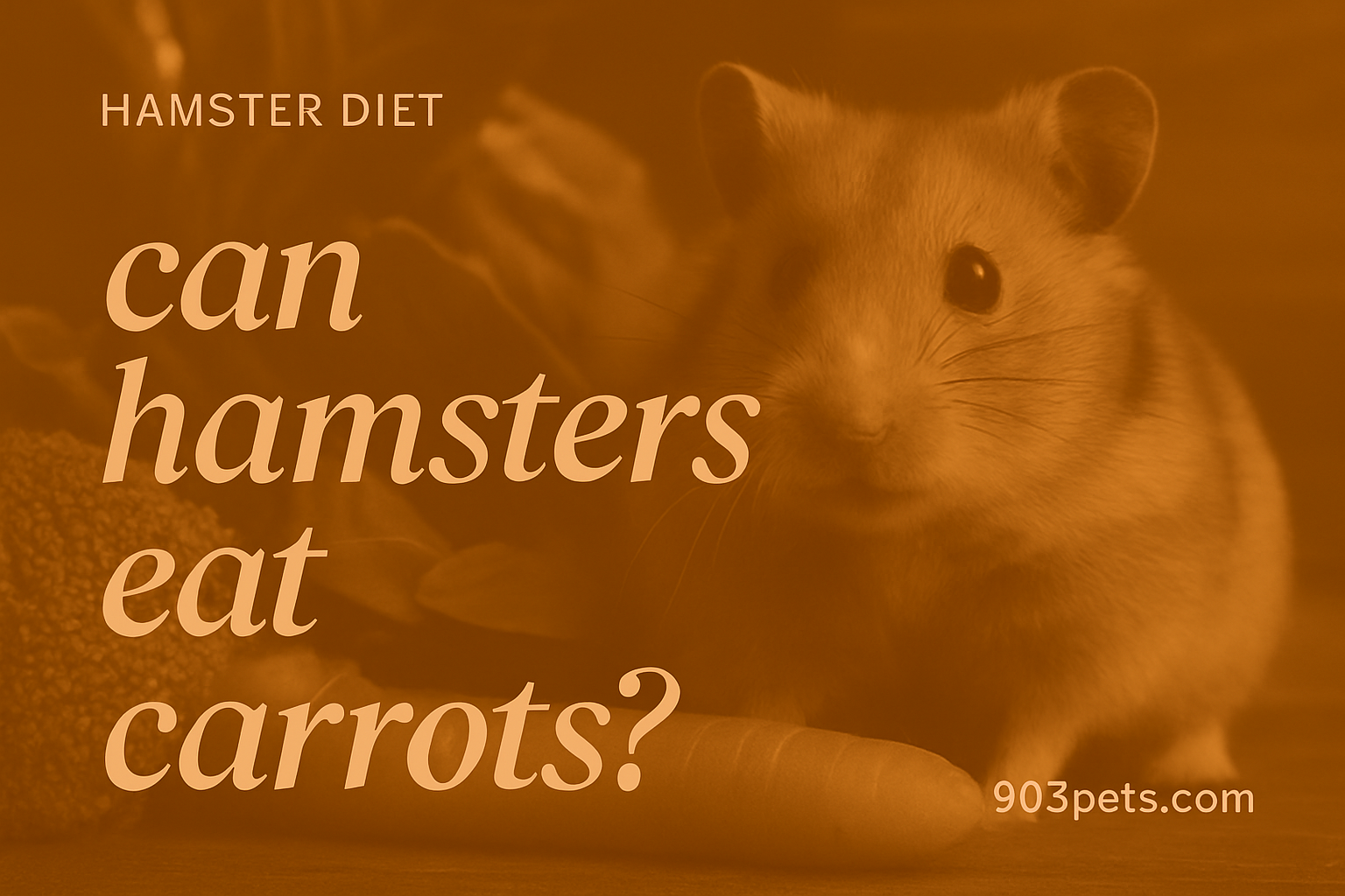 Can hamsters eat carrots - vegetable guide featured image